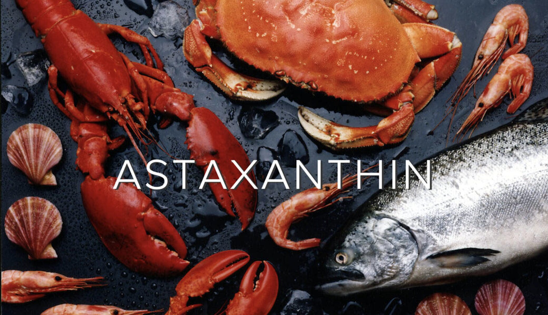 Astaxanthin, HFI, HT Fitness, TPBS, thực phẩm