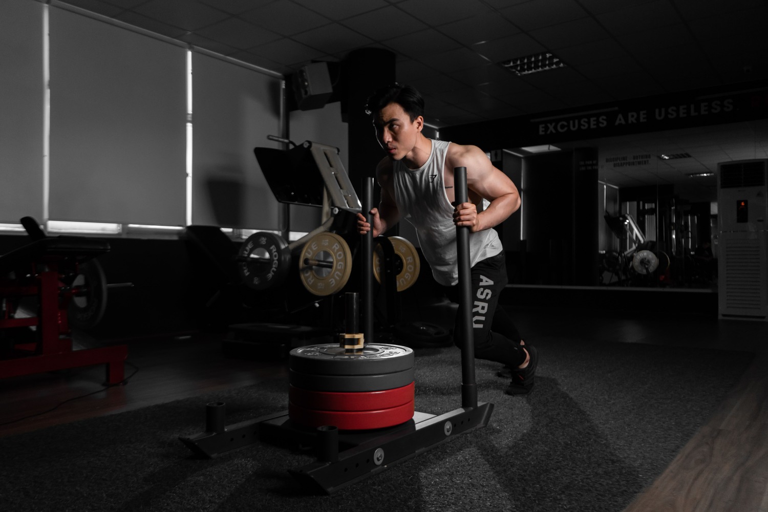 Citrulline, tập luyện, HFI, HT Fitness, Học viện HFI