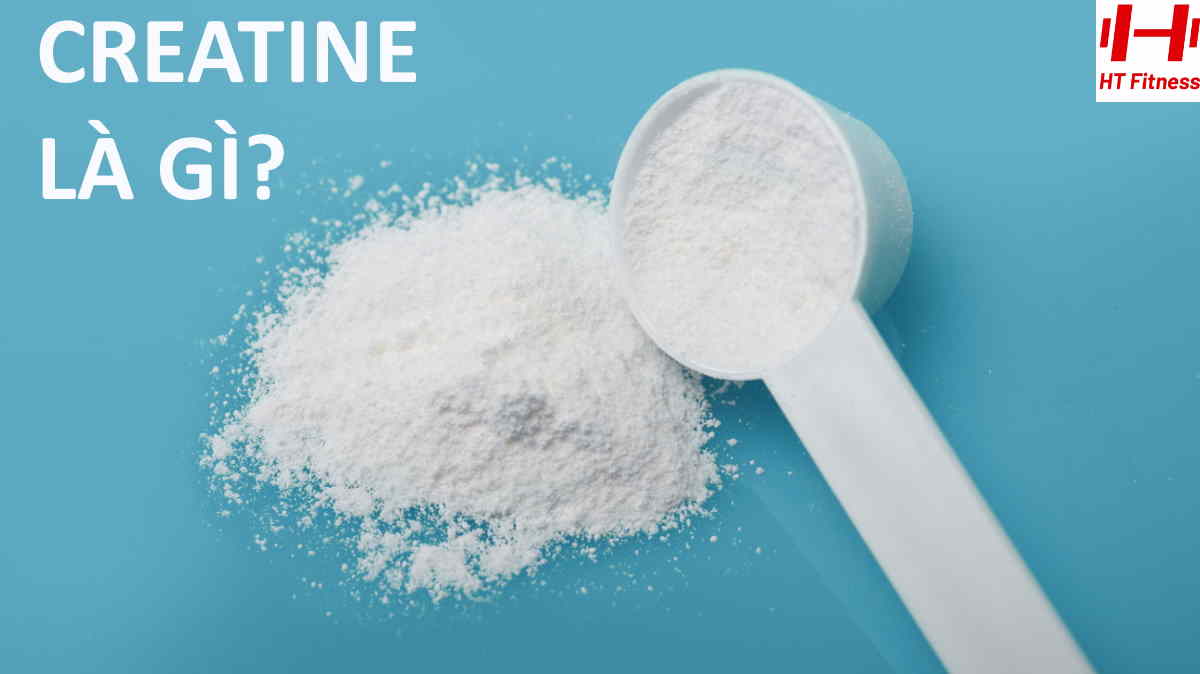 Creatine là gì