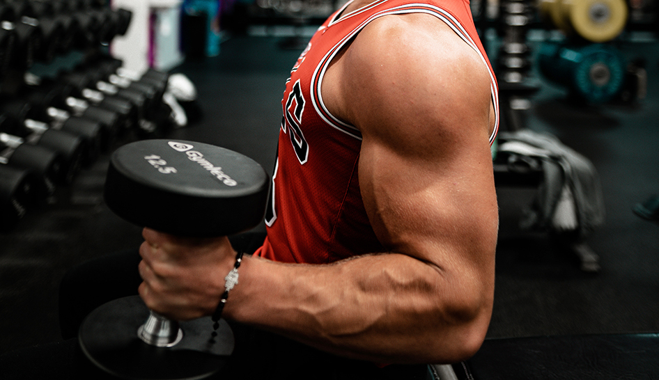 tăng cơ giảm mỡ cùng lúc, tăng cơ, giảm mỡ, tập luyện, HFI, HT Fitness, Học viện HFI