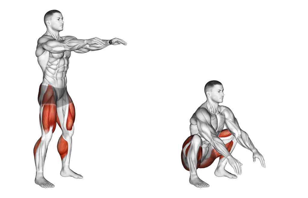 Khi squat đúng cách, các nhóm cơ được tác động nhiều nhất trong bài Squat nằm ở xung quanh khớp hông và toàn bộ nhóm cơ lưng.