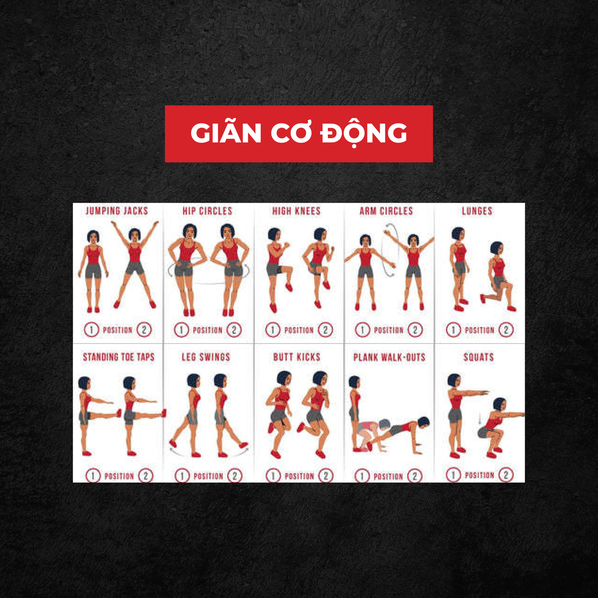 stretching là gì, giãn cơ,, giãn cơ động, HFI, HT FItness, Học viện HFI