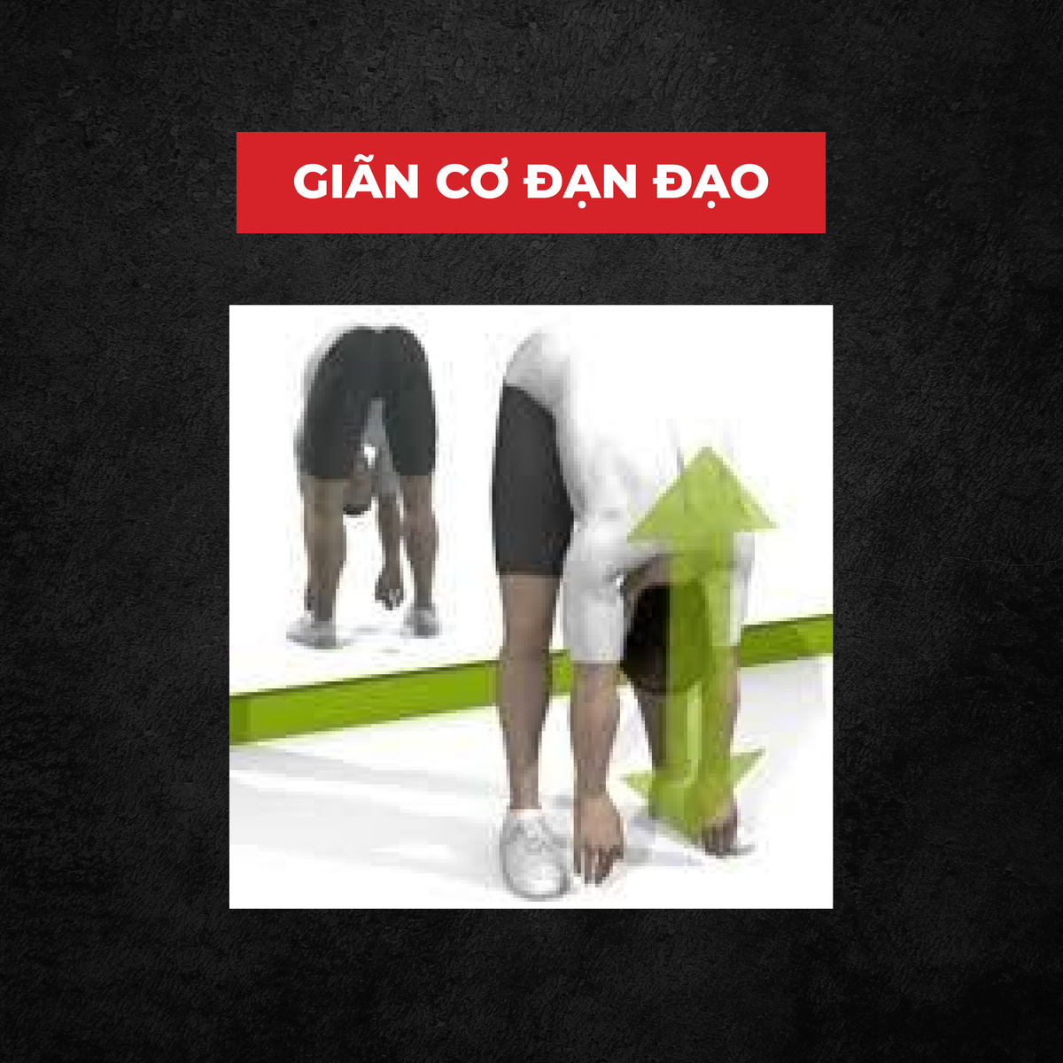 stretching là gì, giãn cơ, giãn cơ đạn đạo, HFI, HT FItness, Học viện HFI