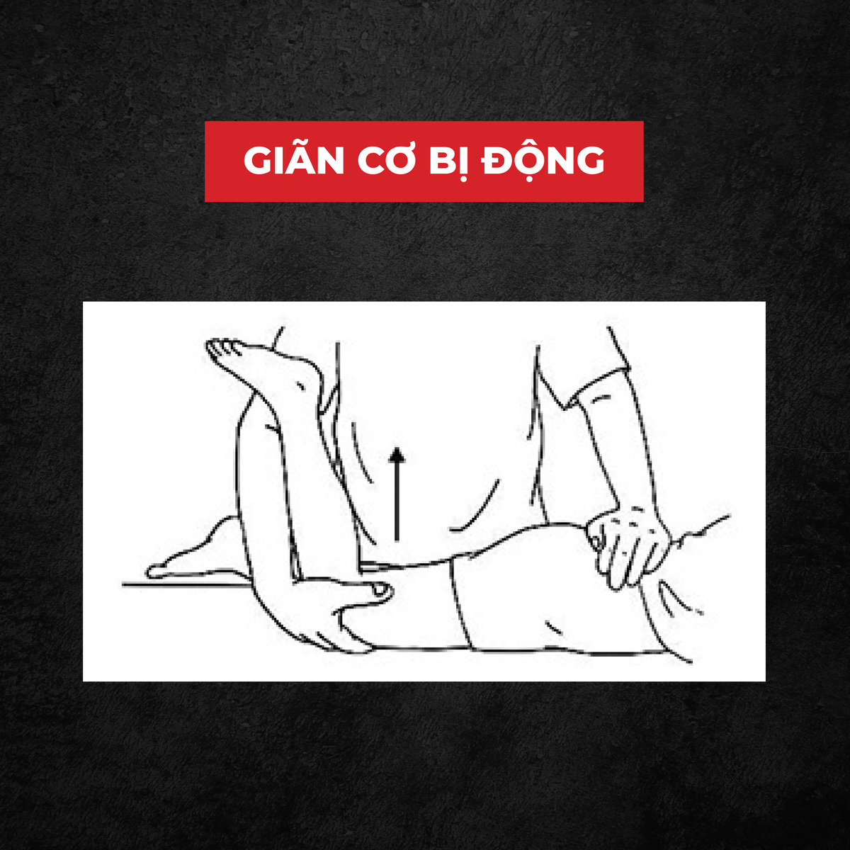 stretching là gì, giãn cơ, giãn cơ bị động, HFI, HT FItness, Học viện HFI