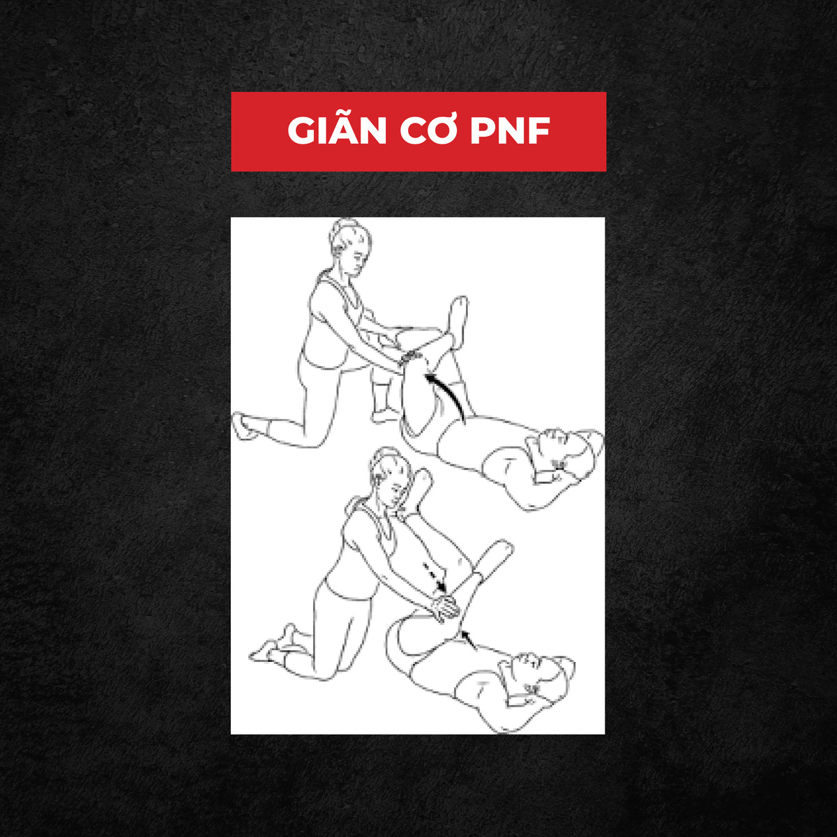 stretching là gì, giãn cơ, giãn cơ PNF, HFI, HT FItness, Học viện HFI