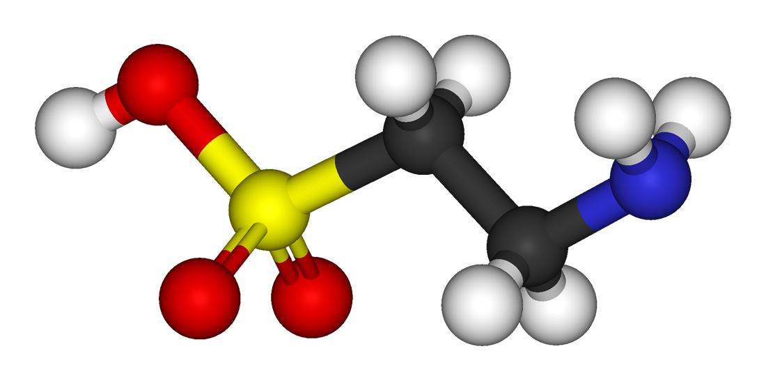 Taurine là gì, HFI, HT Fitness, Học viện HFI
