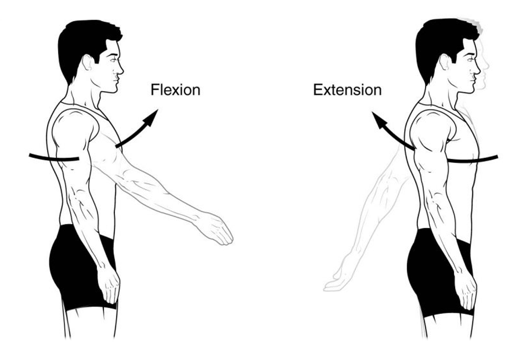 khớp vai, phức hợp vai, bài tập vai, cơ vai, gập vai, Shoulder Flexion, HFI, HT Fitness, Học viện HFI