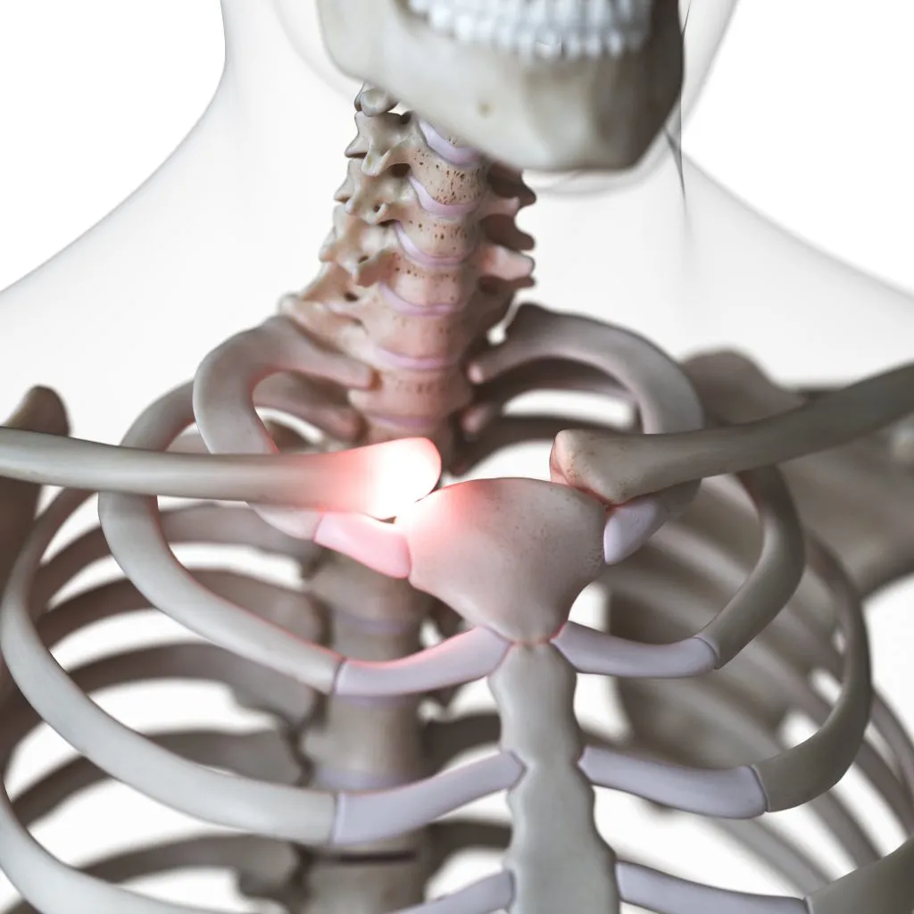 khớp vai, phức hợp vai, bài tập vai, cơ vai, khớp ức đòn, Sternoclavicular joint, SC joint, HFI, HT Fitness, Học viện HFI