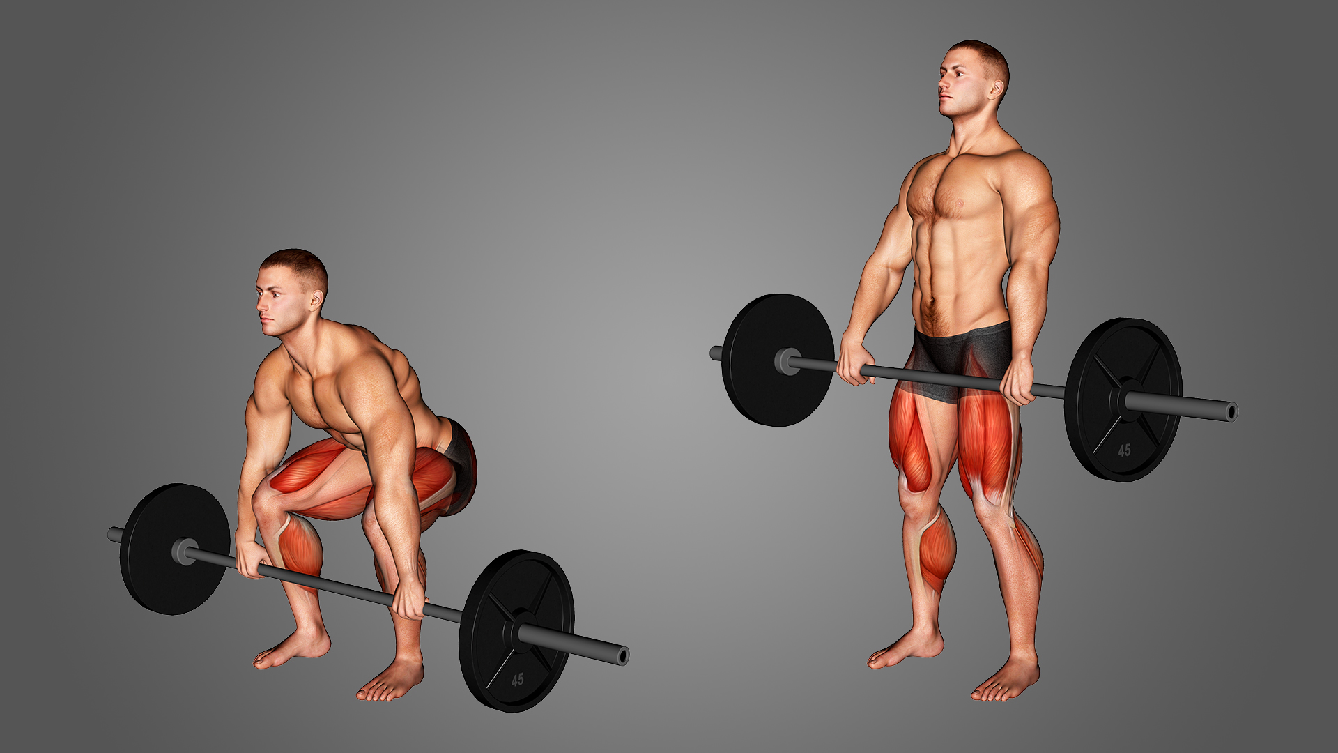 Dù là bài tập lớn, Conventional Deadlift chưa thể được coi là bài tập tốt nhất cho sự phát triển cơ mông.