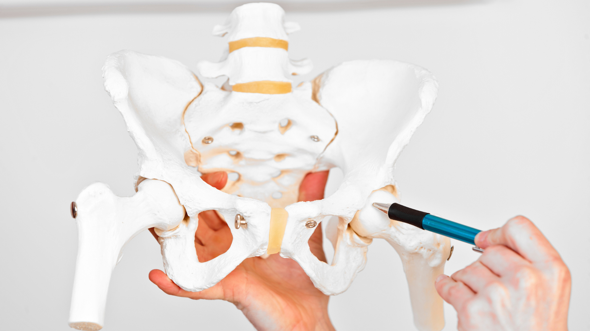 mông to, tập mông, cơ mông, bài tập mông, HFI, HT Fitness, Học viện HFI