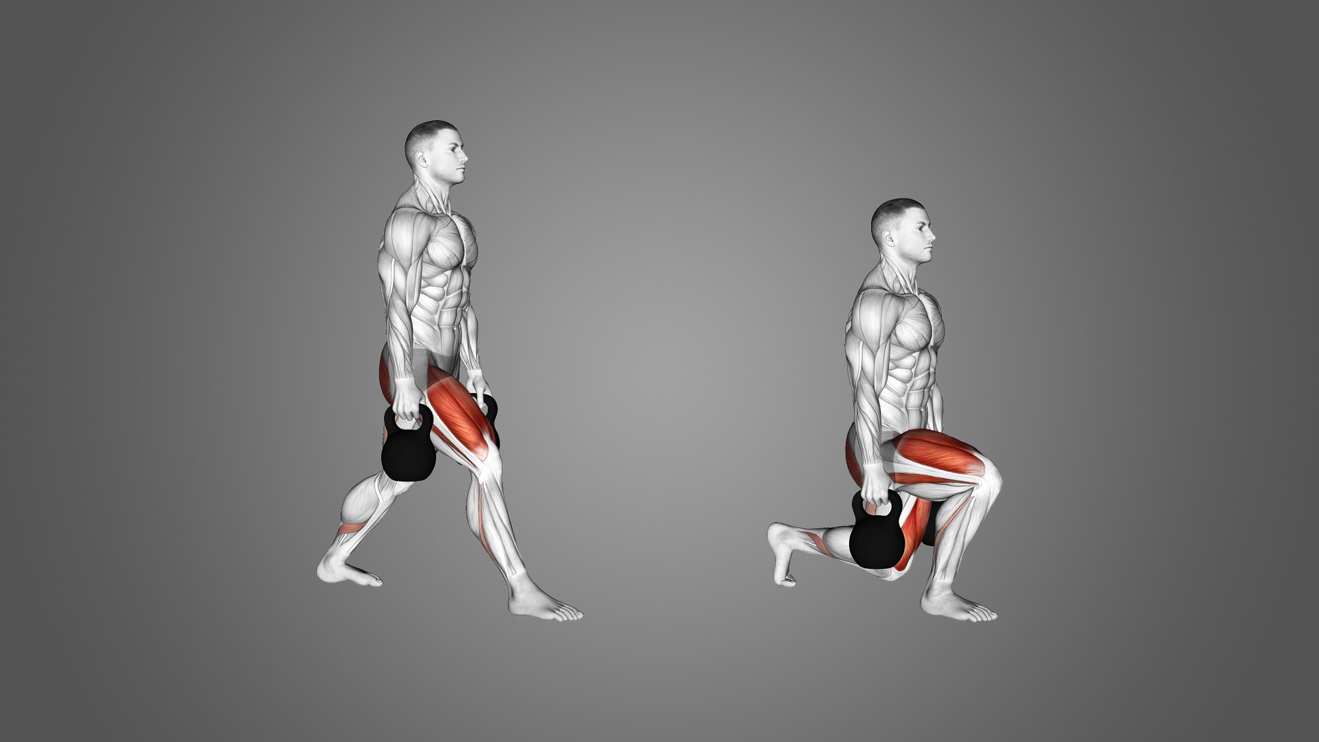 mông to, tập mông, cơ mông, bài tập mông, HFI, HT Fitness, Học viện HFI