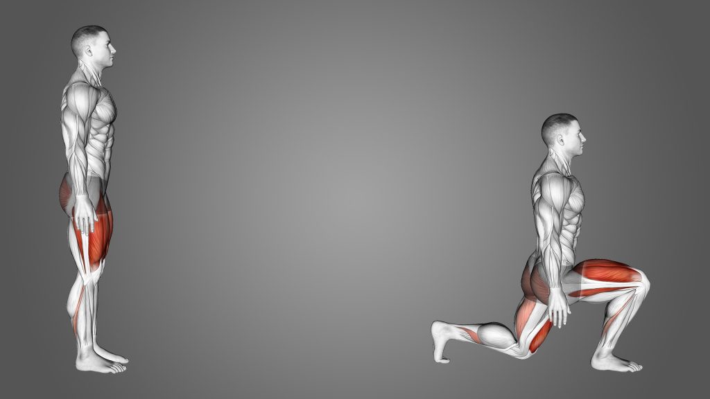 mông to, tập mông, cơ mông, bài tập mông, HFI, HT Fitness, Học viện HFI