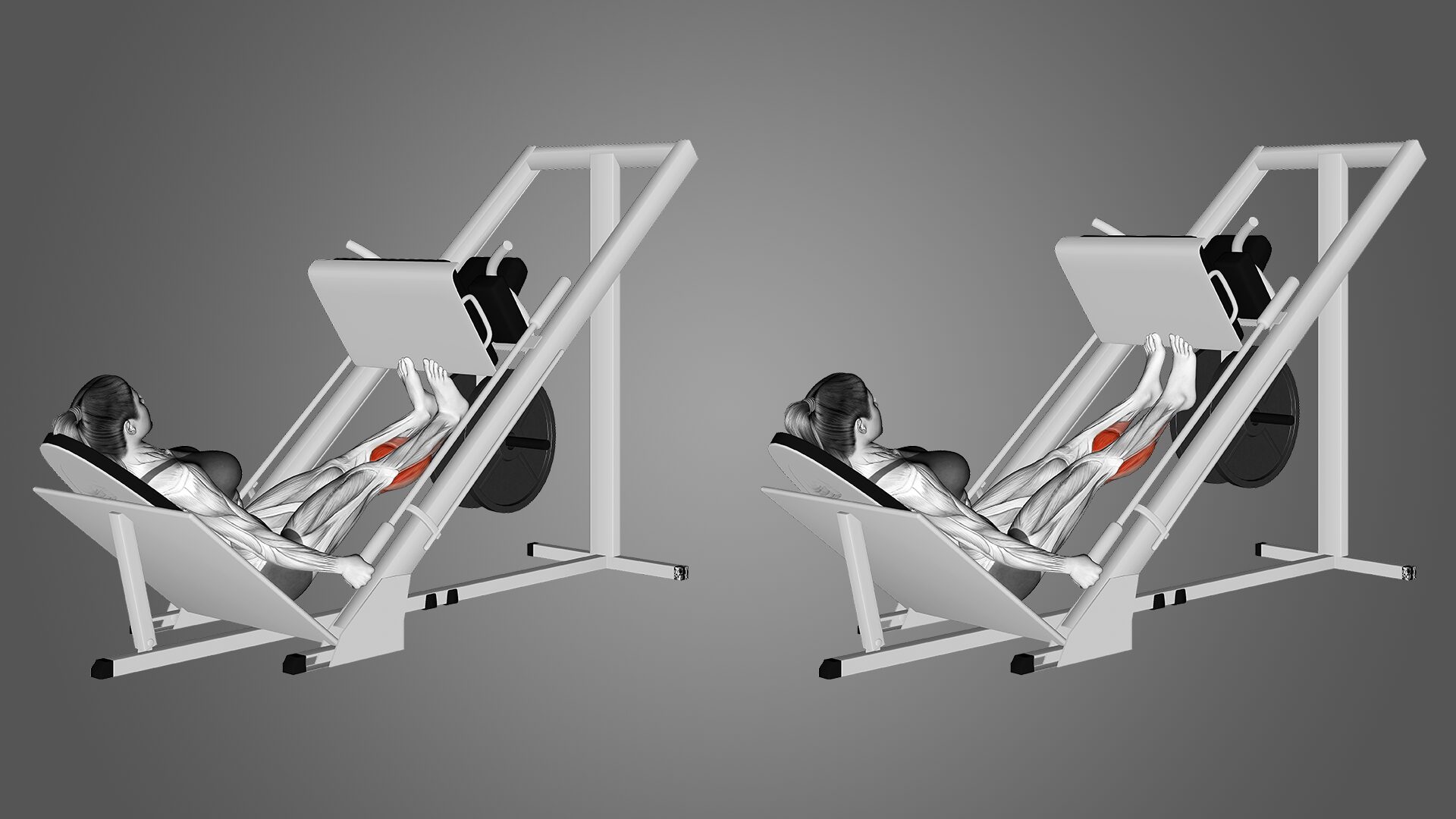 Tập bắp chân với Leg Press Calves