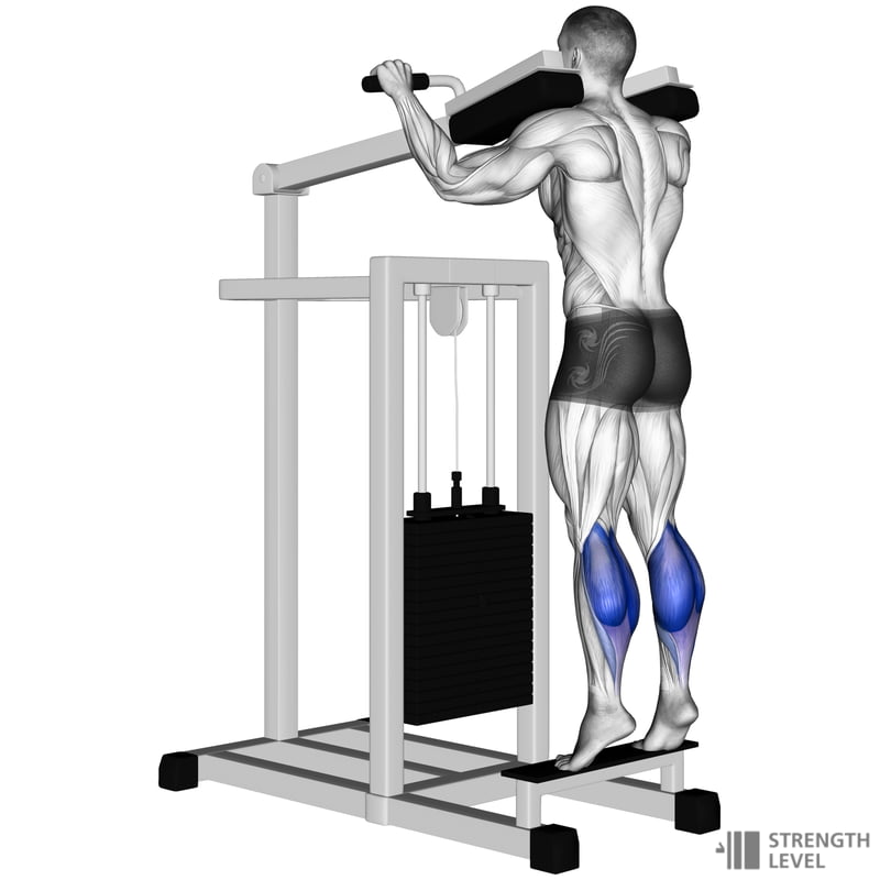 Tập bắp chân với Calf Machine