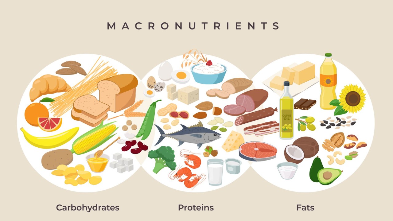 tính calo, thực phẩm, bao nhiêu calo, HFI, HT Fitness, Học viện HFI