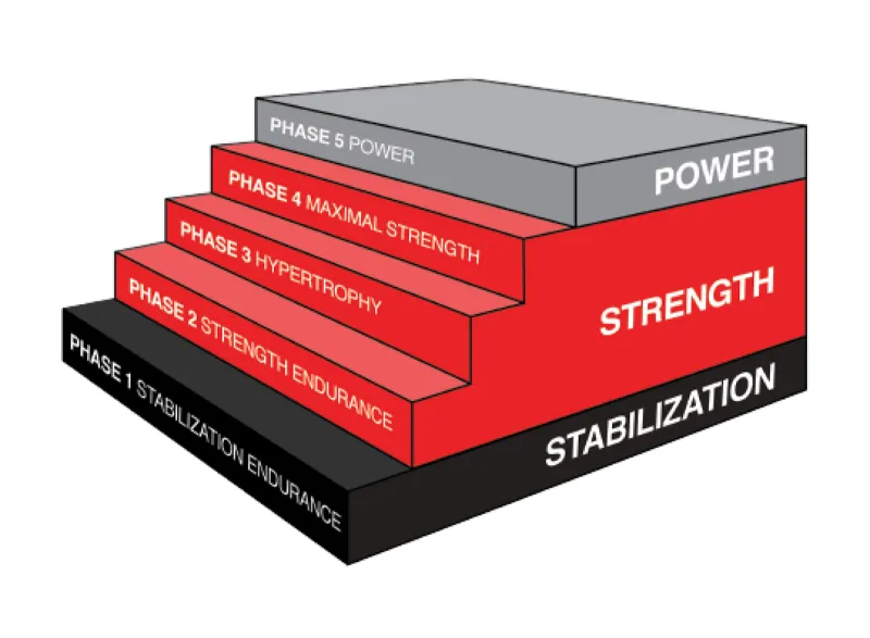 mô hình OPT của chứng chỉ NASM