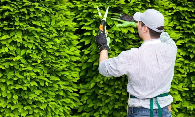 không có bằng cấp 3 nên học nghề gì