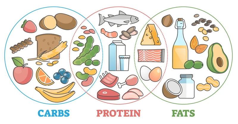 ăn gì trước khi chạy bền