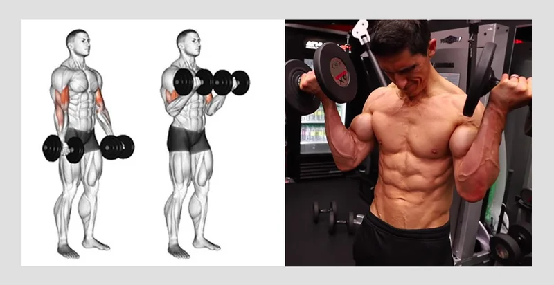 bài tập tăng sức mạnh cơ bắp