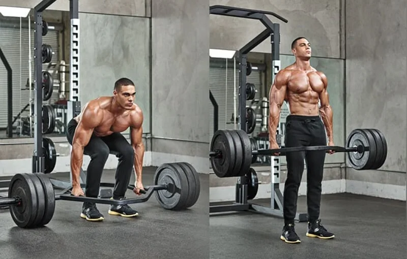 các bài tập tăng cơ bắp