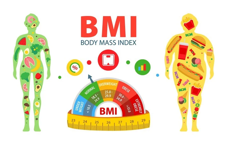 chỉ số bmi