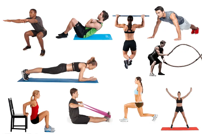 Gym có phải là môn thể thao không