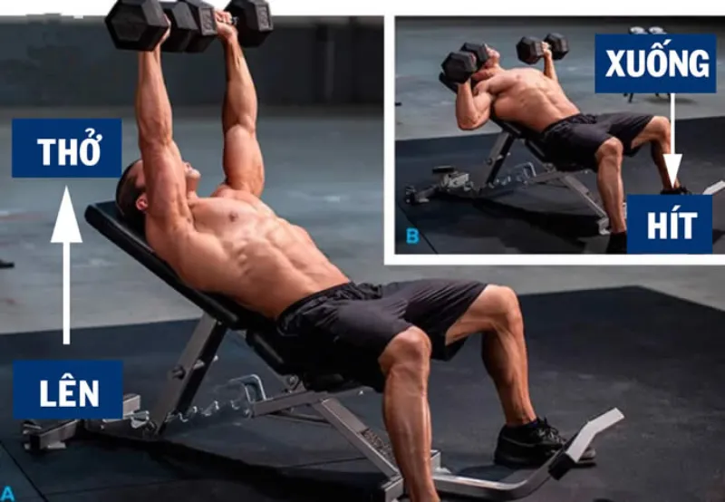 hít thở khi tập gym