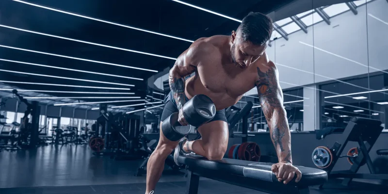 giảm mỡ không tăng cơ