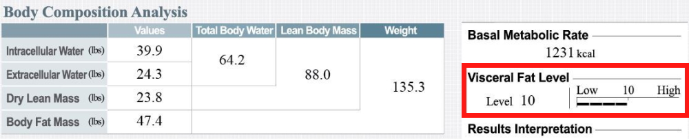 cách đọc inbody, inbody, cách đo inbody, inbody là gì, máy inbody, đo inbody, máy đo chỉ số cơ thể, ht fitness, hfi, học viện hfi, Visceral Fat Level, mỡ nội tạng,
