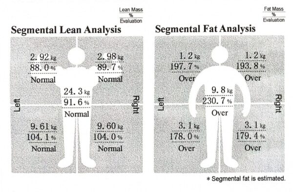 cách đọc inbody, inbody, cách đo inbody, inbody là gì, máy inbody, đo inbody, máy đo chỉ số cơ thể, ht fitness, hfi, học viện hfi, Segmental Lean Analysis là gì