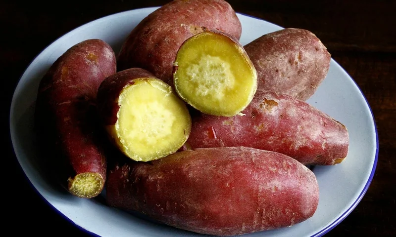 tập gym nên ăn gì để tăng cơ