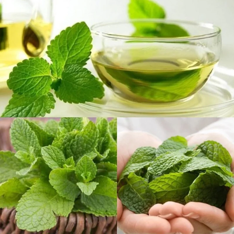 thức uống giảm mỡ bụng