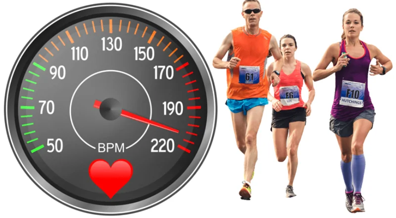 nhịp tim khi chạy bộ