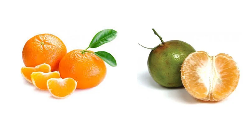 ăn hoa quả gì để giảm cân