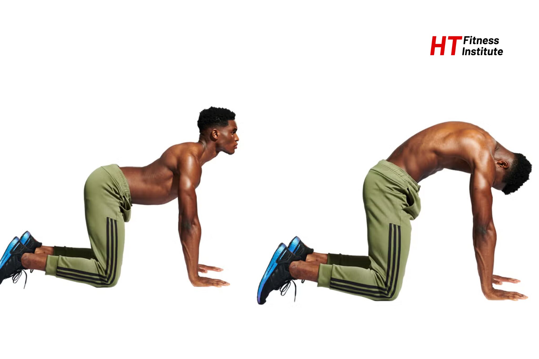 Bài tập giãn cơ Cat-cow