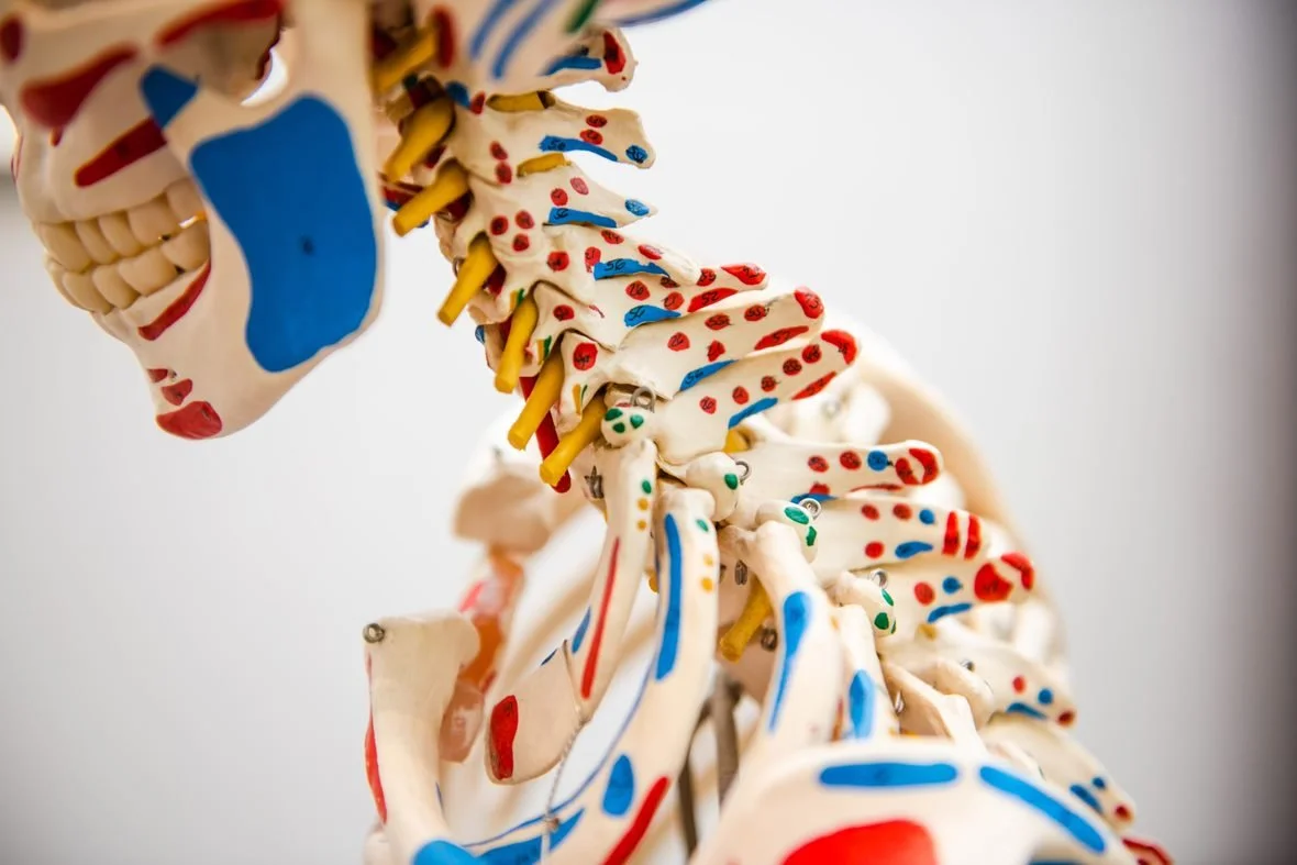 Thiếu vitamin D3 gây suy giảm sức khỏe xương