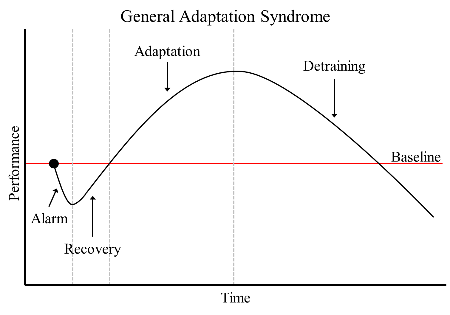 Mặc dù không còn quá phù hợp nhưng mô hình GAS là mô hình giúp những người mới dễ hình dung về bản chất tập luyện và cách Periodization vận hành