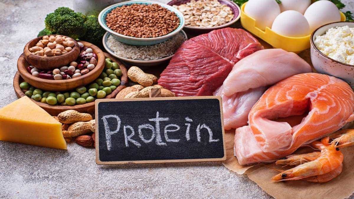 chức năng của protein