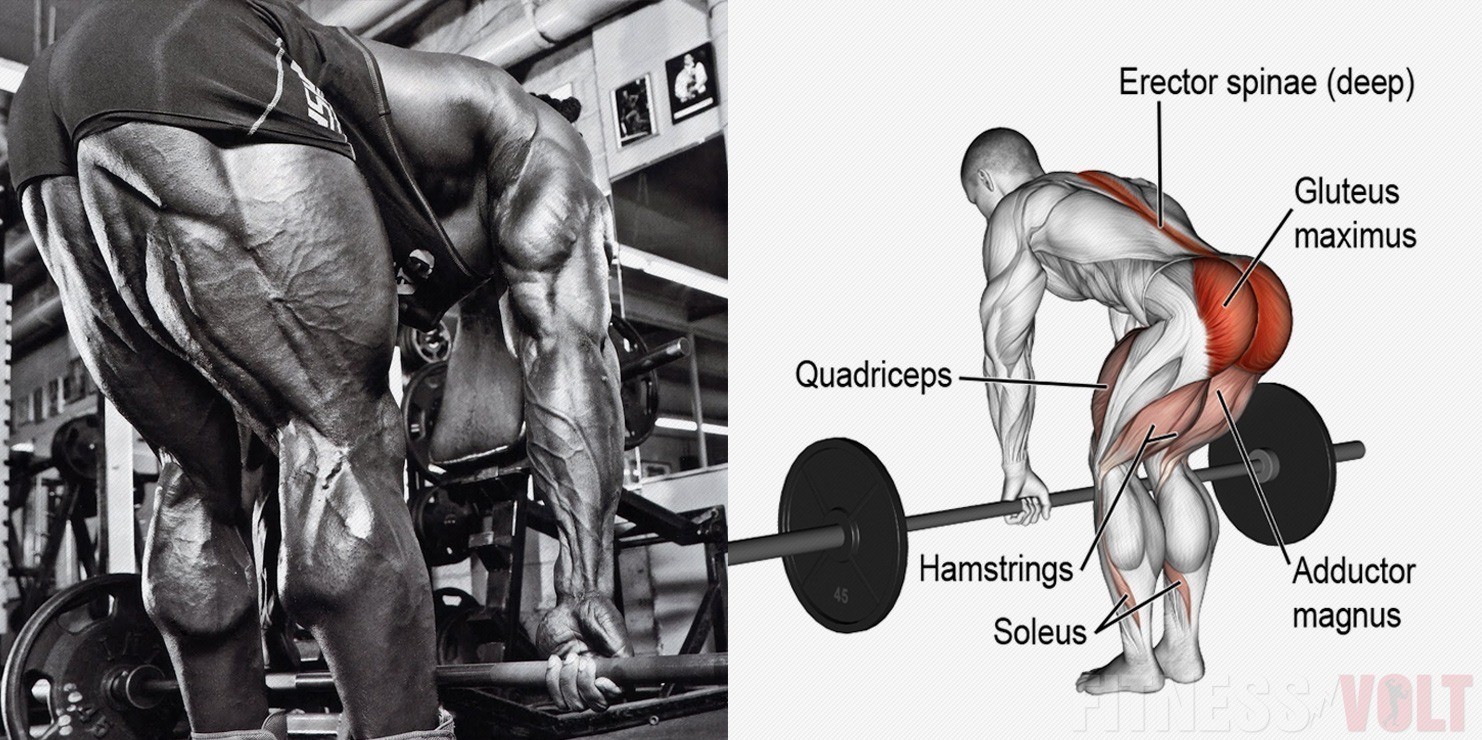 Stiff leg deadlift là biến thể deadlift tập trung cho đùi sau tốt nhất