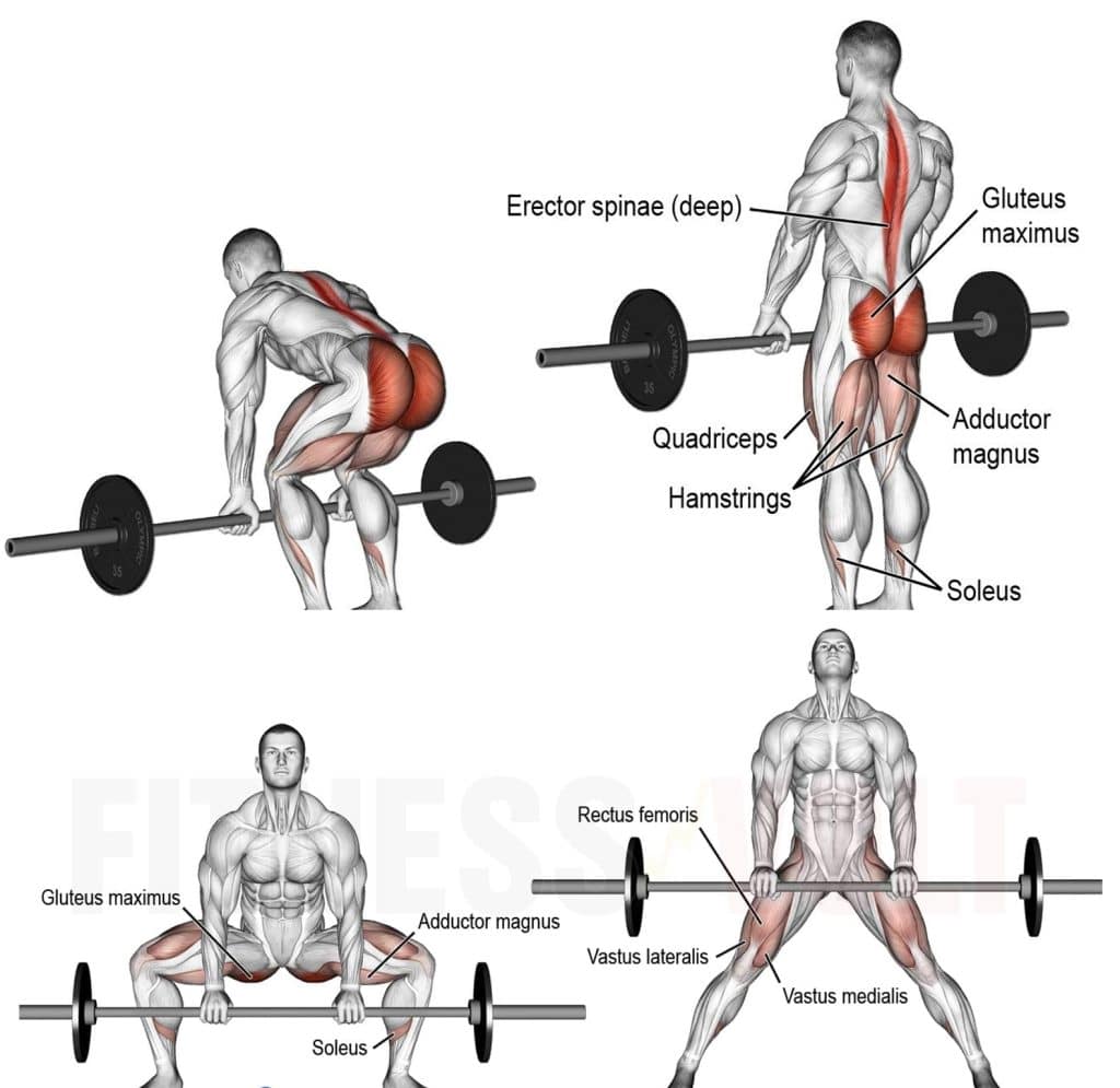 Sumo Deadlift có thể là lựa chọn phù hợp hơn so với conventional deadlift nhờ tư thế dựng hơn
