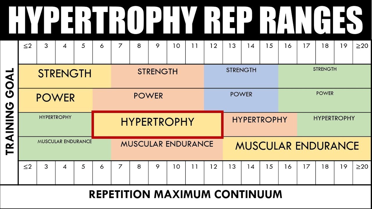 Các hình ảnh "cổ điển" về Rep như thế này thường khiến người tập không hiểu bản chất thực sự đứng sau
