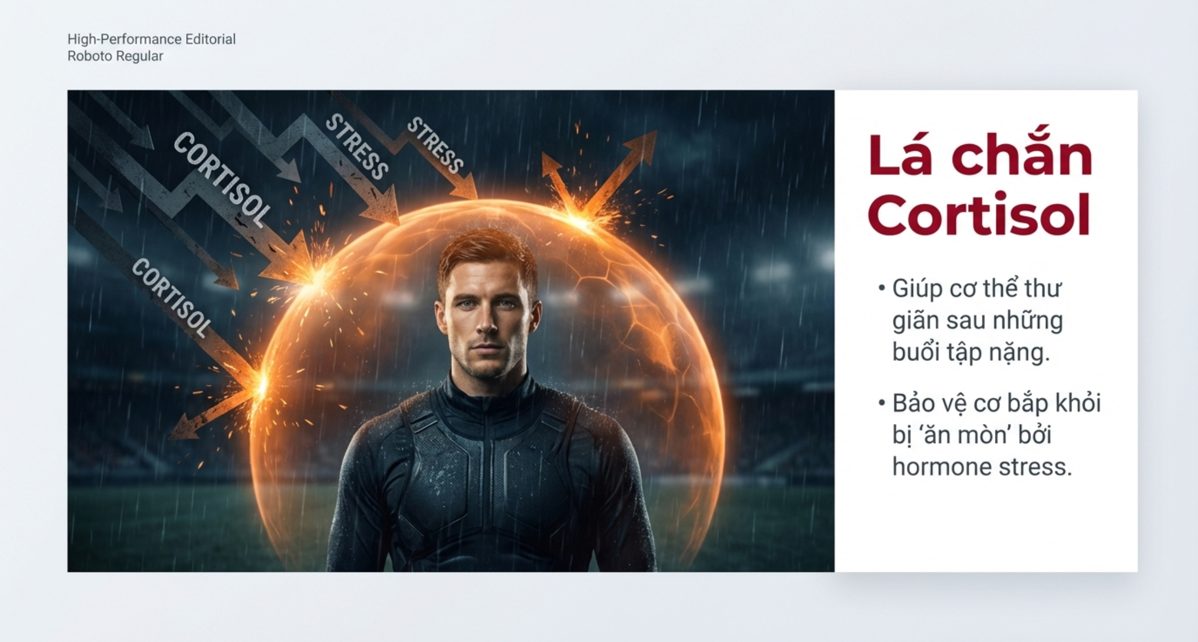 Vitamin C - lá chắn cortisol