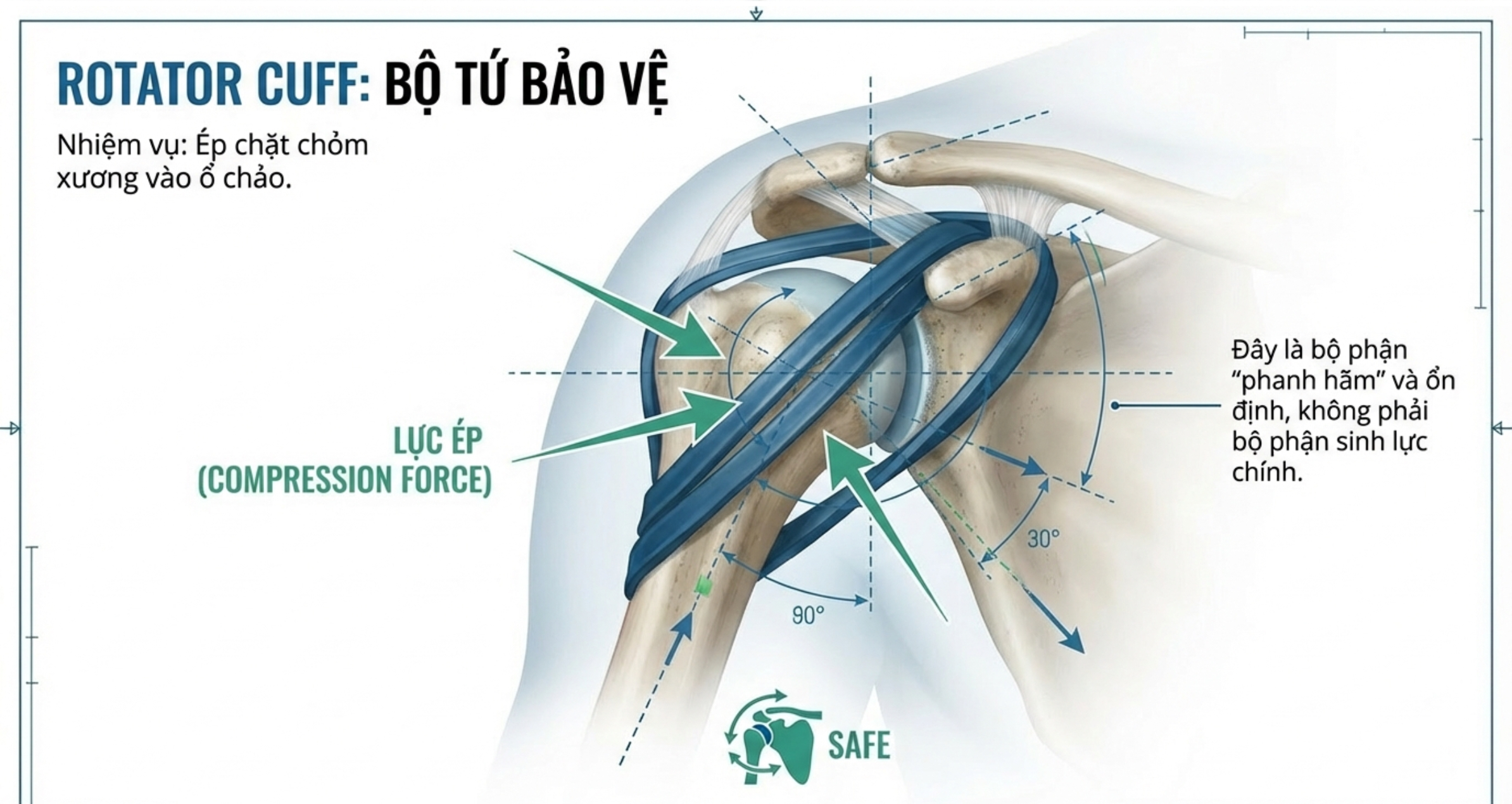 Rotator cuff - bộ tứ bảo vệ khớp vai