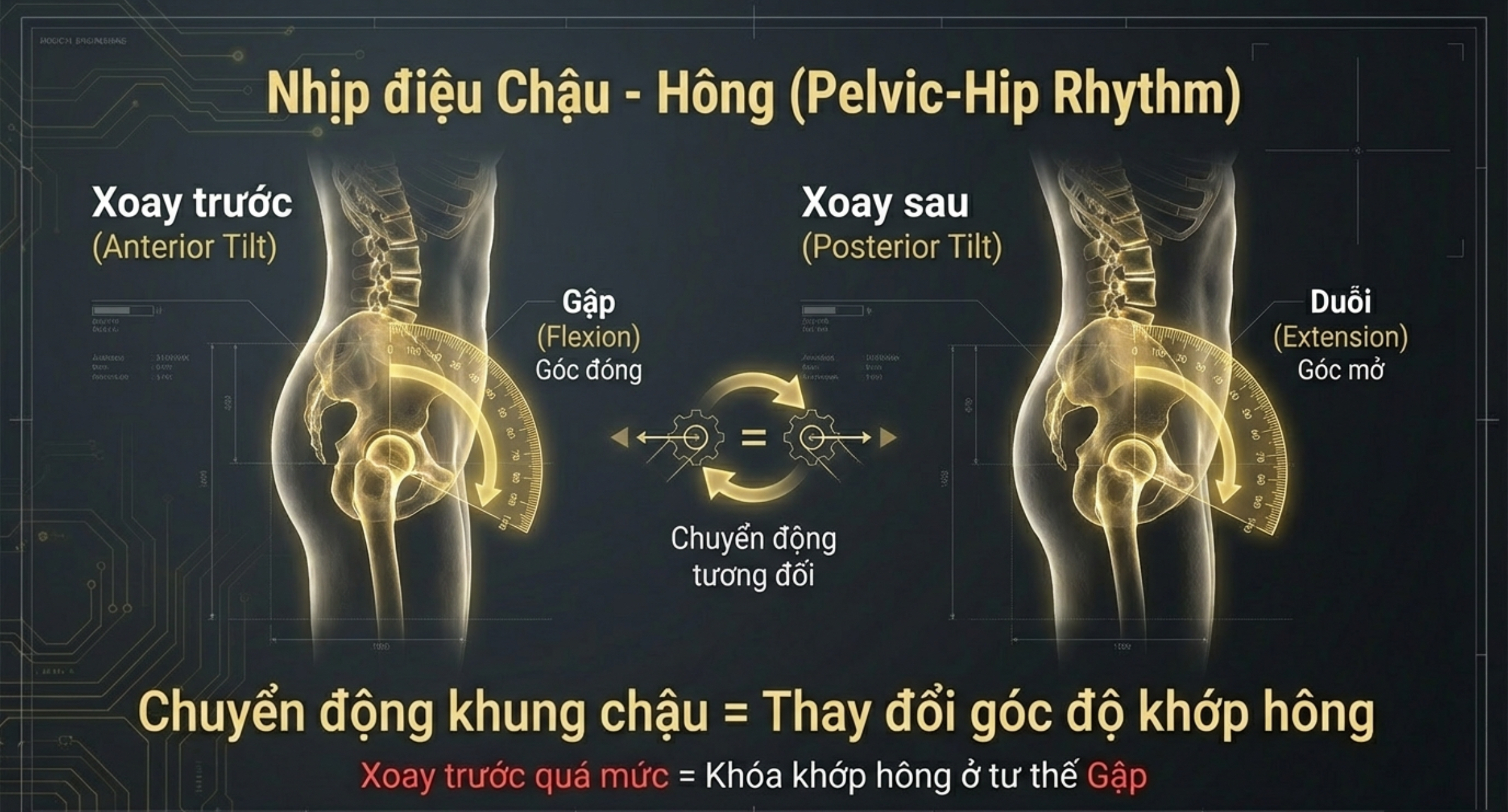 Nhịp điệu chậu - hông
